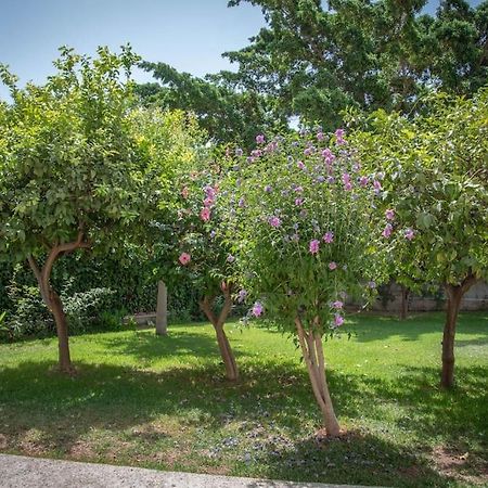 Piso Con Jardin Lejlighed Málaga Eksteriør billede