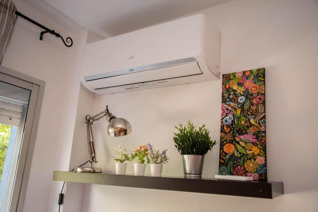 Piso Con Jardin Lejlighed Málaga Eksteriør billede