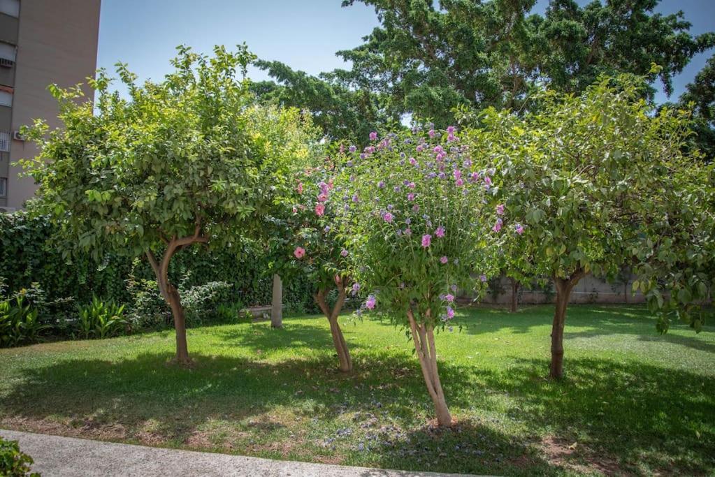 Piso Con Jardin Lejlighed Málaga Eksteriør billede